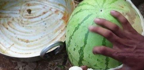 吃瓜网菜网红视频,揭秘热门美食背后的制作秘诀  第3张