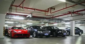 娱乐车爆料,揭秘明星座驾背后的故事 第2张 娱乐车爆料,揭秘明星座驾背后的故事 第2张